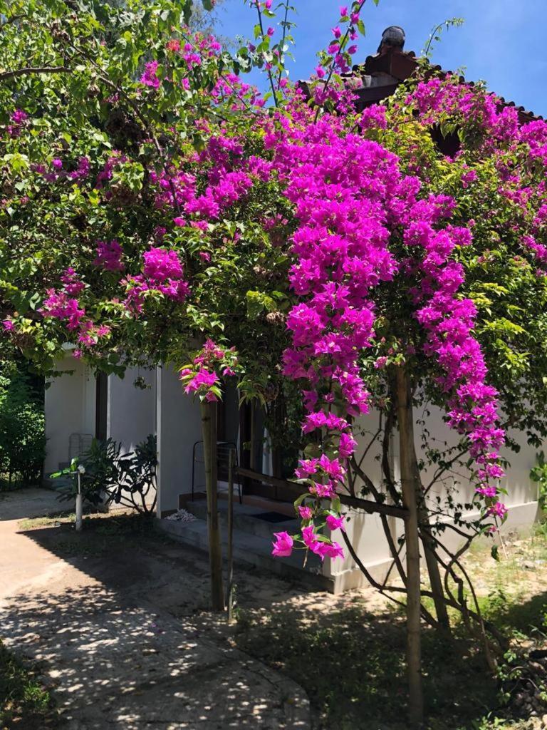 Biru Meno Beach Bungalows Gili Meno Exterior photo